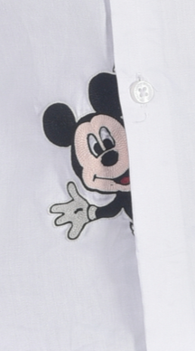MICKEY MOUSE POPPING OUT